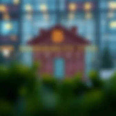 Bankruptcy Types Infographic An infographic illustrating different bankruptcy types and their features