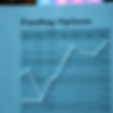 A detailed chart illustrating funding options for SMEs