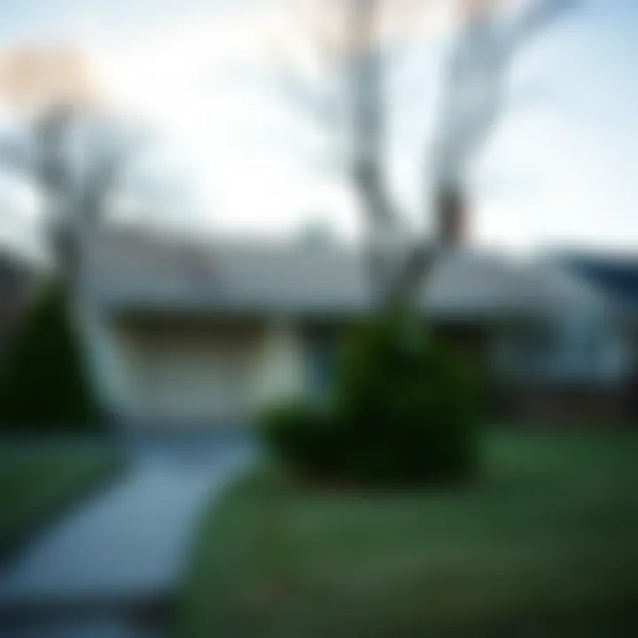 Exterior view of a foreclosed property