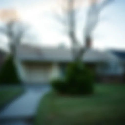 Foreclosed Property Exterior Exterior view of a foreclosed property