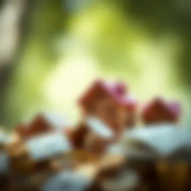 Diverse Types of Retirement Annuities Visual representation of various retirement annuity types