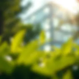 Understanding federal tax obligations