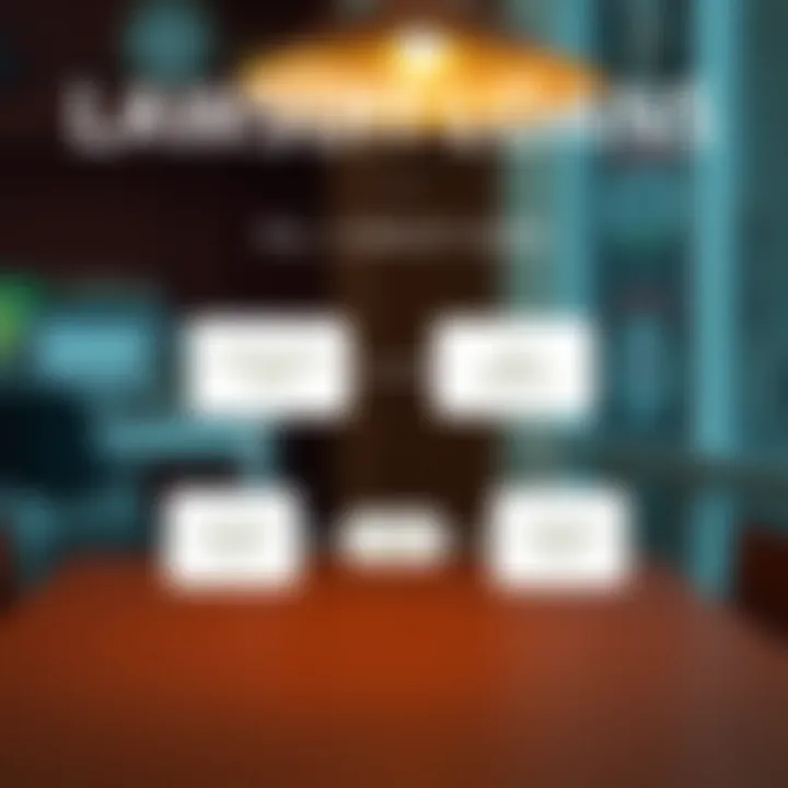 A clear diagram showing the flow of lawsuit loans.